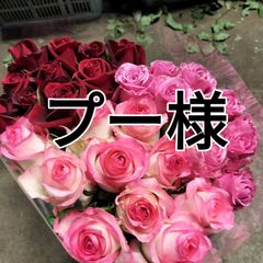 限定バラ     35センチ30本❨生花 切り花 花束❩