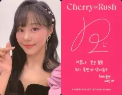 Cherry Bullet 直筆サイン入り 全員 オール 集合 トレカ Cherry Bullet チェリバレ メンバー全員直筆サイン - メルカリ
