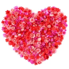 【次回入荷予定無し】ドライフラワー ドライフラワー ドライフラワー レジン 乾燥シート 花材 押し花 ホログラム 400個入り パーツ レジン用 レッド Neiang