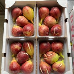 【B品】いちじく　4パック