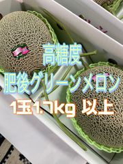 肥後グリーンメロン　2玉入り3Lサイズ