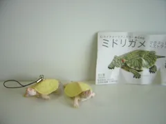 2025年最新】ネイチャー ミドリガメの人気アイテム - メルカリ