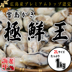 【宮島かき】広島産 プレミアム 2Lサイズ 生牡蠣　加熱用 極鮮王 1kg