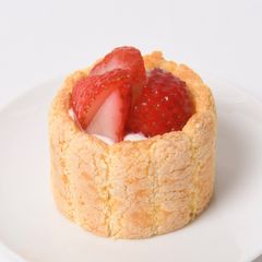 犬用ケーキ シャルロット(イチゴ) ケーキ【北海道産牛乳と米粉使用】誕生日お祝い