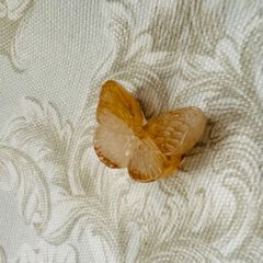 ライモナイトの蝶々🦋𓂃‪𓈒𓏸フォロワー様限定クーポン発行中◡̈⃝