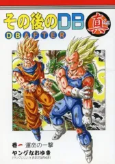 その後のDB 真 DBAFTER など 計11冊 ヤングなおゆき ドラゴンボール その後のDB 真 DBAFTER など 計11冊 ヤングなおゆき ドラゴンボール