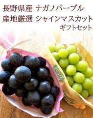 シャインマスカット ナガノパープル お中元 暑中お見舞い 残暑お見舞い お中元お返し [シャイン&ナガパ] クール便 化粧箱入り 夏ギフト お誕生日 内祝い