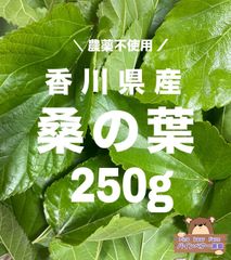 無農薬自然栽培生桑の葉　　250g　 蚕・陸亀など、ペット用【1,299→1,100円】