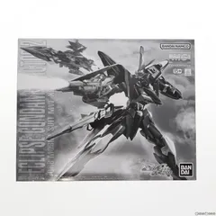 2025年最新】MG 1/100 エクリプスガンダム2号機(機動戦士