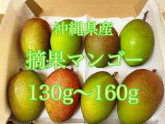 沖縄県産　摘果マンゴー　1キロ