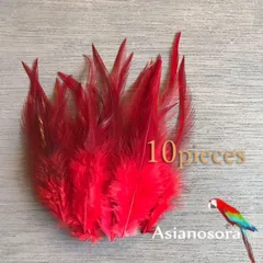 鳥の羽専用出品 鳥の羽根 販売のおすすめ人気商品一覧 通販 - Yahoo!ショッピング