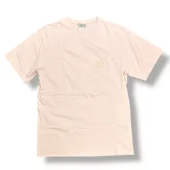 希少✨ディオールオム Tシャツ ロゴ刺繍 デカバックロゴ ベージュ XS 現行品 2025年最新】Dior Homme 割引オプション：通常商品 Tシャツの人気