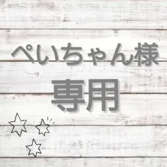 ▽▲ぺいちゃん様専用ページ▽▲