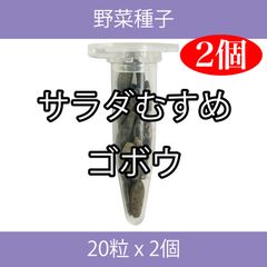 野菜種子 TVF09 サラダむすめゴボウ 20粒 x 2個