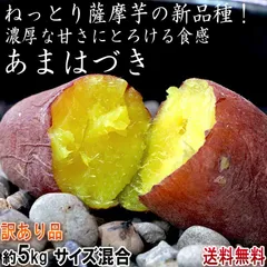 新品種甘はづき苗50本 新品種甘はづき苗50本