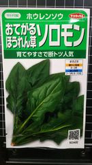 おてがる ソロモン ほうれん草 ホウレンソウ 種 ３袋セット