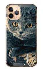 iPhone14Pro ケース ハードケース アイフォン14 プロ スマホケース 猫 ネコ 白猫  スコティッシュフォールド マンチカン 写真 可愛い オシャレ おしゃれ くすみ ベージュ カラー01