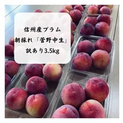 2025年最新】すもも 3kgの人気アイテム - メルカリ 