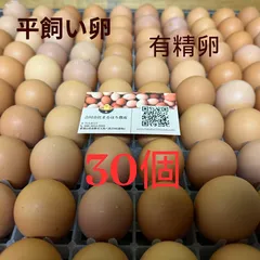 平飼い卵80個7/21常温発送 j0000000685001_1.jpg