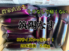 🧡自慢のナス🧡トゲなしで痛くない！