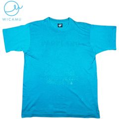 90年代 USA製 SCREEN STARS BEST ヴィンテージ Tシャツ L グリーン シングルステッチ