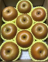 あきづき　和梨　秋田県産　家庭用　約3kg