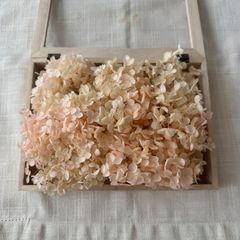 プリザーブドフラワー アナベルアジサイ 約12g (ピンククリーム) TK-PKFRT 未使用品 あじさい 紫陽花 ヘッド