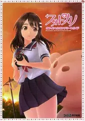 【中古】攻略本PSP ≪恋愛ゲーム≫ PSP フォトカノ オフィシャルコンプリートガイド