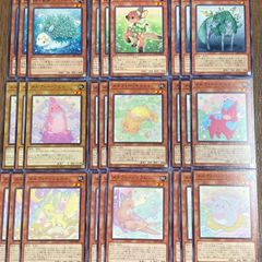 遊戯王　メルフィー構築用デッキパーツ　効果モンスター