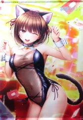 【中古】タペストリー 玉依ひまり(コスプレVer.) 描き下ろしB2タペストリー 「PS4/Switchソフト/PCソフト 制服カノジョ」 トレーダー購入特典