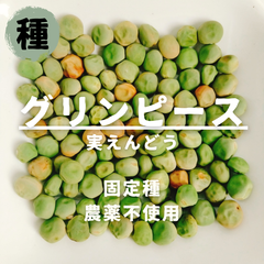【種】グリンピース　実エンドウ　農薬不使用　20粒