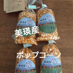 美瑛産・はじける！香ばしいポップコーン【100g×4】