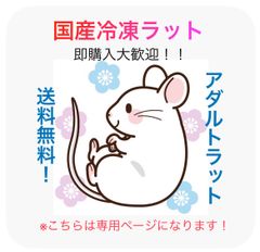 価格表】冷凍ラット 2~50匹@ピンクラットからアダルト4Lまであります❗️（価格は送料です。注文はお問い合わせ下さい） - メルカリ