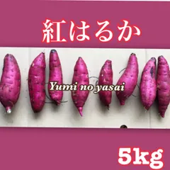 鹿児島県産 さつまいも《紅はるか》5kg