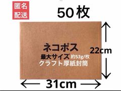 宅配レターケース　クラフト紙厚紙封筒　ネコポス最大　厚手タイプ　50枚