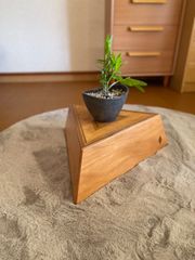 【大工の家具】飾り台　観葉植物ラックPart1