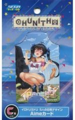 SEGAラッキーくじ CHUNITHM C賞 Aimeカード - メルカリ