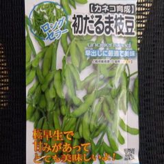 未開封＜野菜の種＞エダマメ　初だるま　　20ｍｌ　枝豆の種　えだまめ