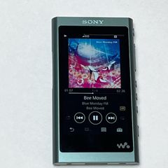 SONY WALKMAN NW-A55 16GB 本体 充電ケーブルのみ - メルカリ