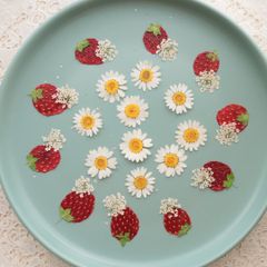 Item thumbnail for item 01786a54-8261-42bc-b5d5-b209b15c03d7