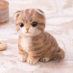 2025年最新】羊毛 フェルト 猫の人気アイテム - メルカリ