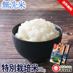 令和5年産 米10kg 無洗米 熊本県阿蘇産コシヒカリ 特別栽培米 送料無料 九州産