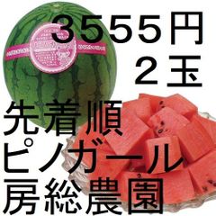 ３５５５円・２玉・第２弾・数量限定・ピノガール「小玉スイカランキング第１位」