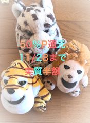 シャクレル　とら　ライオン