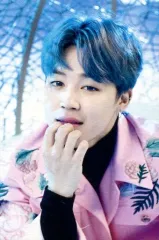 【中古】コレクションカード(男性) 7of8：防弾少年団/JIMIN/「2017 BTS LIVE TRILOGY EPISODE III THE WINGS TOUR ～Japan Edition～」ミニフォトカード VER.2