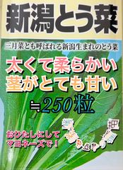 とう菜