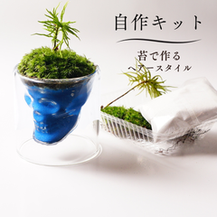 【制作キット】青砂 苔テラリウム 70mm 骸骨 スカルグラス 髪型 ヘアースタイルキット   テラリウム  自作 作成キット