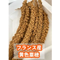 赤粟穂 250g フランス産 - メルカリ