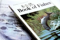 サカナクション 魚図鑑 （完全生産限定盤プレミアムBOX）3CD＋魚大図鑑