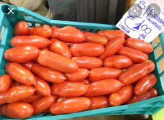 サンマルツァーノ　固定種　トマト　種子